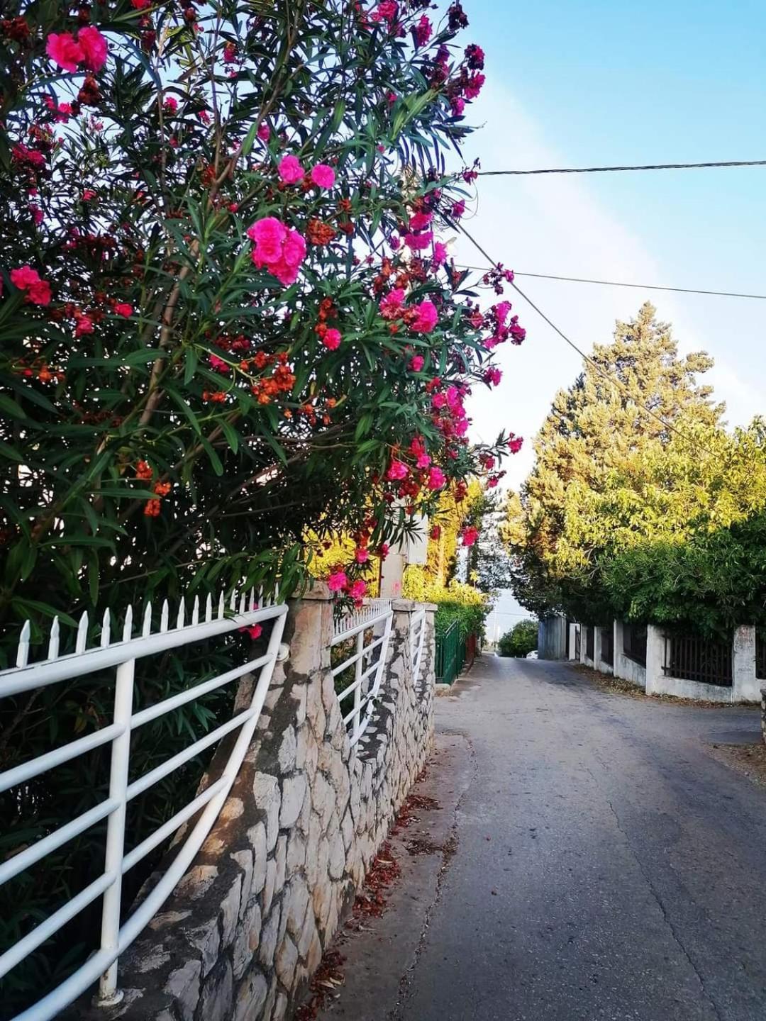 Apartmani Ljubica อัตเจฮะห์ ภายนอก รูปภาพ