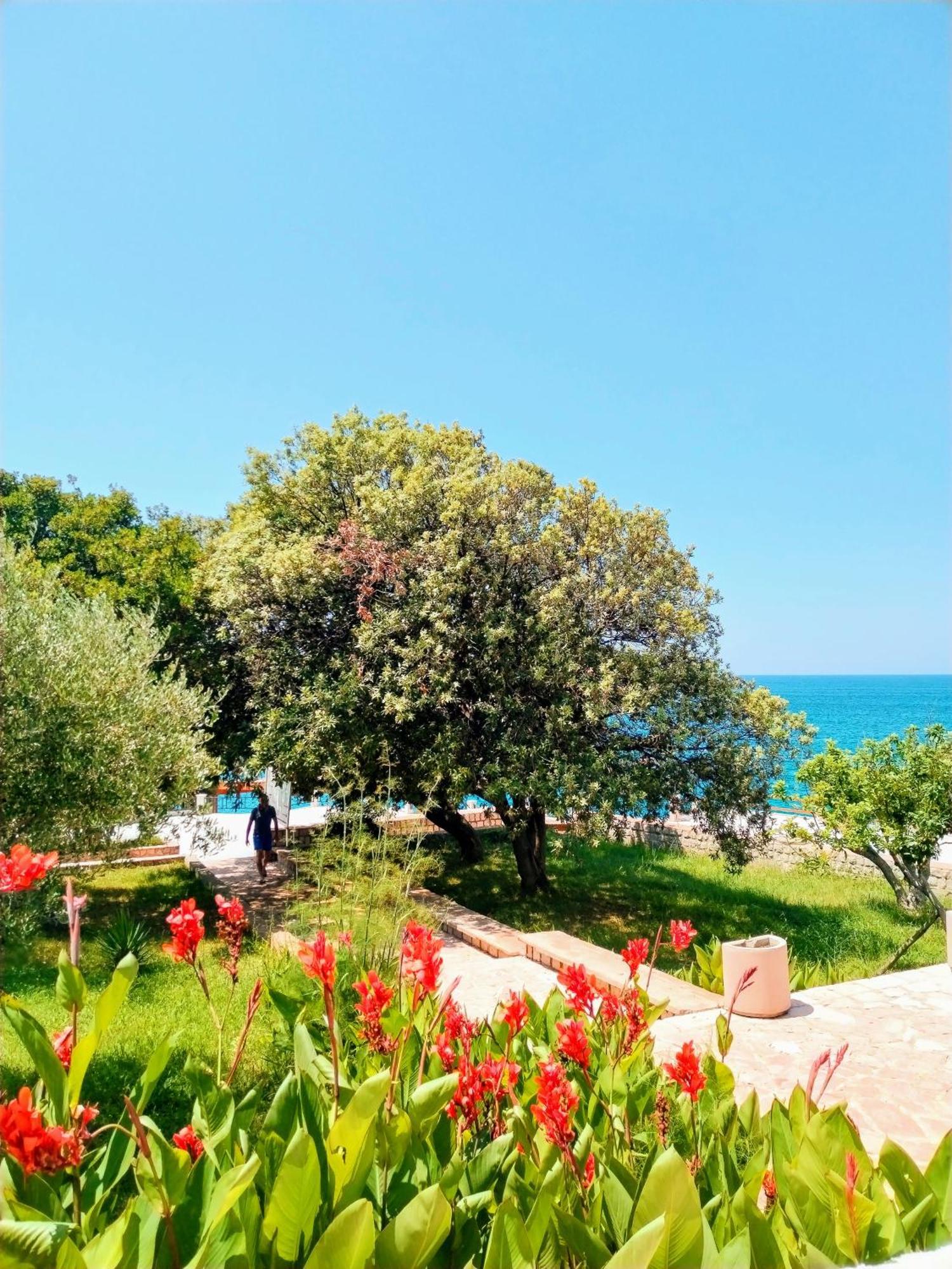 Apartmani Ljubica อัตเจฮะห์ ภายนอก รูปภาพ